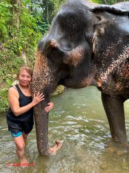 Hugging elephant.